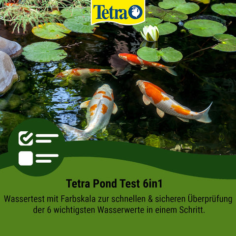 Tetra Pond Test 6in1