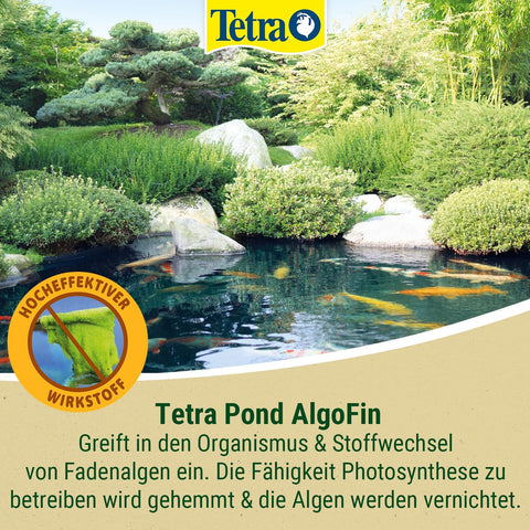 Tetra Pond AlgoFin